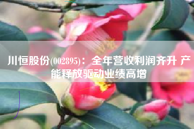 川恒股份(002895)：全年营收利润齐升 产能释放驱动业绩高增