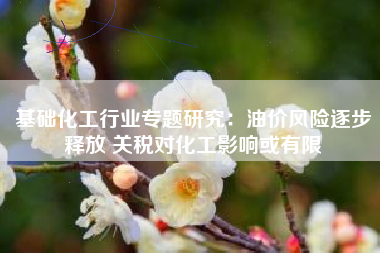 基础化工行业专题研究：油价风险逐步释放 关税对化工影响或有限