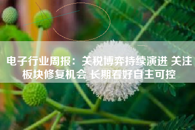 电子行业周报：关税博弈持续演进 关注板块修复机会 长期看好自主可控