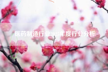 医药制造行业2025年度行业分析 医药制造行业2025年度行业分析