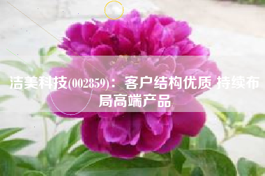 洁美科技(002859)：客户结构优质 持续布局高端产品