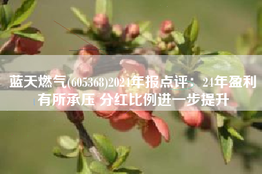 蓝天燃气(605368)2024年报点评：24年盈利有所承压 分红比例进一步提升
