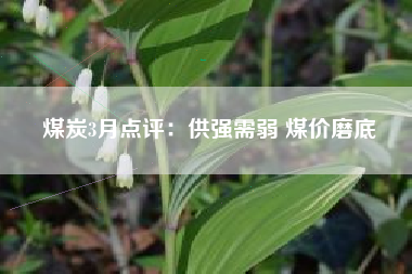 煤炭3月点评：供强需弱 煤价磨底