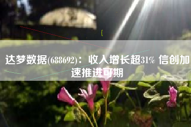 达梦数据(688692)：收入增长超31% 信创加速推进可期