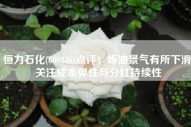 恒力石化(600346)点评：炼油景气有所下滑 关注成本弹性与分红持续性