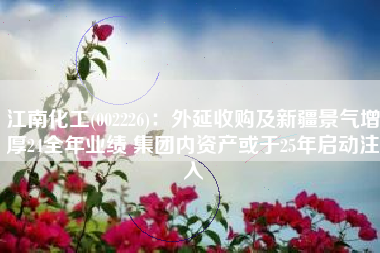 江南化工(002226)：外延收购及新疆景气增厚24全年业绩 集团内资产或于25年启动注入