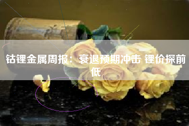钴锂金属周报：衰退预期冲击 锂价探前低