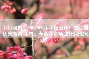 韦尔股份(603501)2024年年报点评：营收创历史新高 手机、车载等多项业务实现突破