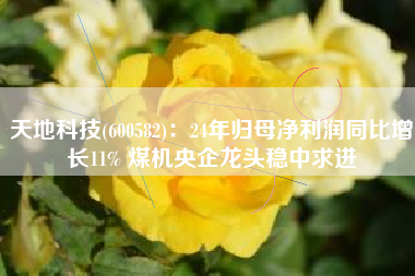 天地科技(600582)：24年归母净利润同比增长11% 煤机央企龙头稳中求进