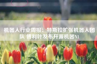 机器人行业周报：特斯拉扩张机器人团队 傅利叶发布开源机器N1