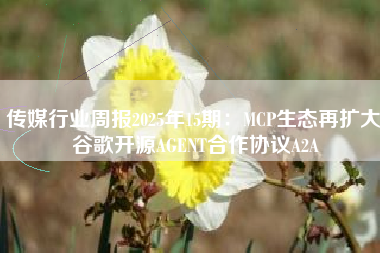 传媒行业周报2025年15期：MCP生态再扩大 谷歌开源AGENT合作协议A2A