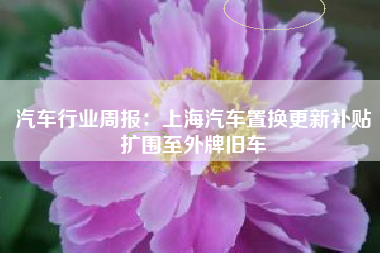 汽车行业周报：上海汽车置换更新补贴扩围至外牌旧车
