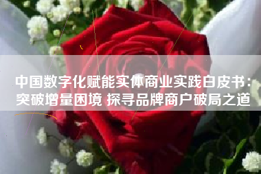 中国数字化赋能实体商业实践白皮书：突破增量困境 探寻品牌商户破局之道