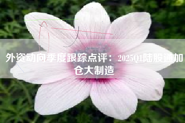 外资动向季度跟踪点评：2025Q1陆股通加仓大制造