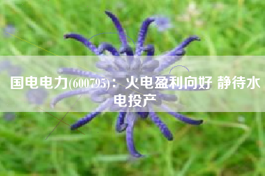 国电电力(600795)：火电盈利向好 静待水电投产