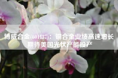博威合金(601137)：铜合金业绩高速增长 期待美国光伏产能投产