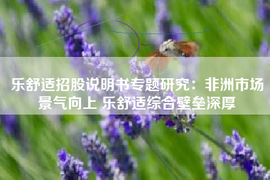 乐舒适招股说明书专题研究：非洲市场景气向上 乐舒适综合壁垒深厚