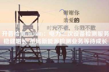 开普检测(003008)：电力二次设备检测服务稳健增长 布局新能源检测业务等待成长