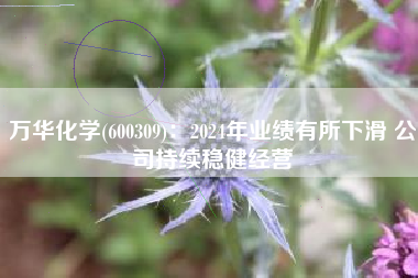 万华化学(600309)：2024年业绩有所下滑 公司持续稳健经营