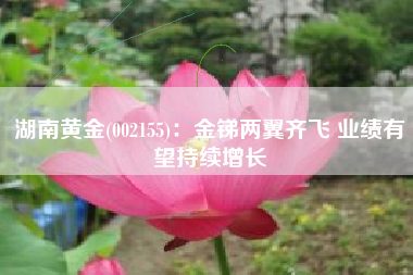 湖南黄金(002155)：金锑两翼齐飞 业绩有望持续增长