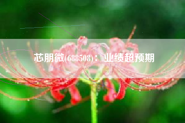 芯朋微(688508)：业绩超预期