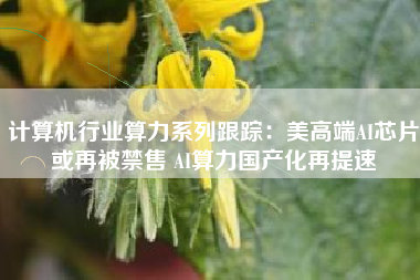 计算机行业算力系列跟踪：美高端AI芯片或再被禁售 AI算力国产化再提速