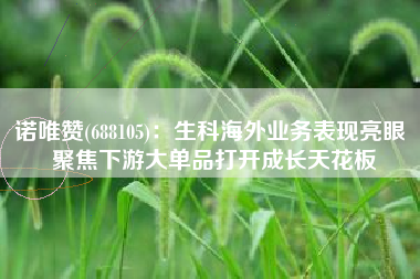诺唯赞(688105)：生科海外业务表现亮眼 聚焦下游大单品打开成长天花板