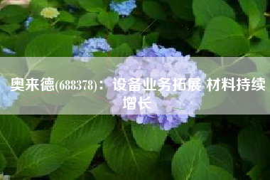 奥来德(688378)：设备业务拓展 材料持续增长