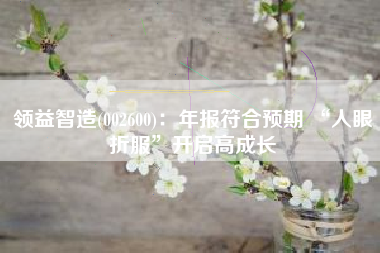 领益智造(002600)：年报符合预期 “人眼折服”开启高成长