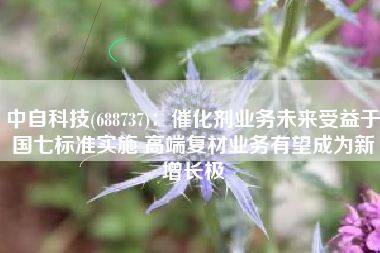 中自科技(688737)：催化剂业务未来受益于国七标准实施 高端复材业务有望成为新增长极
