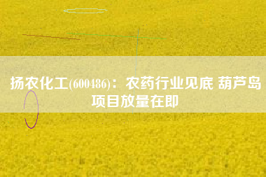 扬农化工(600486)：农药行业见底 葫芦岛项目放量在即
