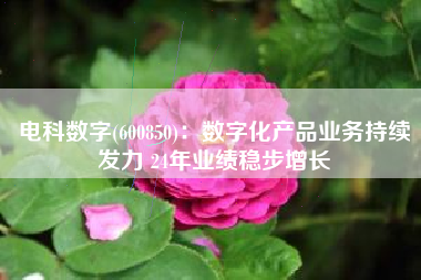 电科数字(600850)：数字化产品业务持续发力 24年业绩稳步增长