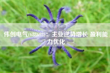 伟创电气(688698)：主业逆势增长 盈利能力优化