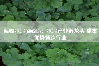 海螺水泥(600585)：水泥产业链龙头 成本优势领跑行业