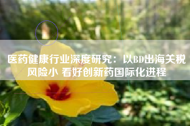 医药健康行业深度研究：以BD出海关税风险小 看好创新药国际化进程