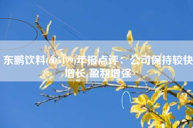 东鹏饮料(605499)年报点评：公司保持较快增长 盈利增强