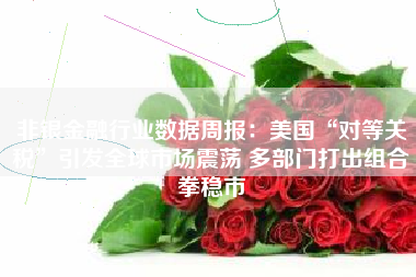 非银金融行业数据周报：美国“对等关税”引发全球市场震荡 多部门打出组合拳稳市