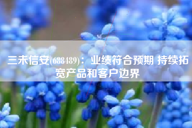 三未信安(688489)：业绩符合预期 持续拓宽产品和客户边界