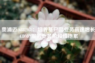 奥浦迈(688293)：培养基产品业务高速增长 CDMO服务业务阶段性拖累