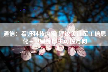 通信：看好科技内需 建议关注军工信息化+卫星等自主可控方向