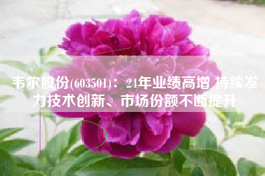 韦尔股份(603501)：24年业绩高增 持续发力技术创新、市场份额不断提升