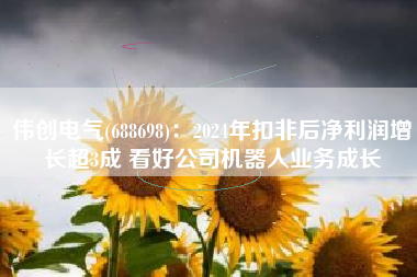 伟创电气(688698)：2024年扣非后净利润增长超3成 看好公司机器人业务成长