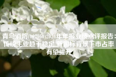 青鸟消防(002960)2024年年报业绩点评报告：传统主业趋于稳定 新国标背景下市占率有望提升