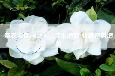 圣农发展(002299)：降本增效 业绩逆势增长