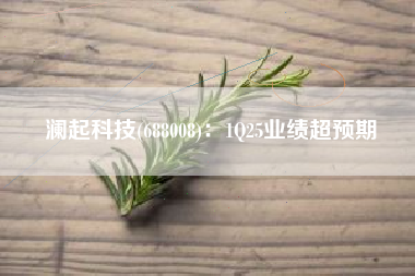 澜起科技(688008)：1Q25业绩超预期