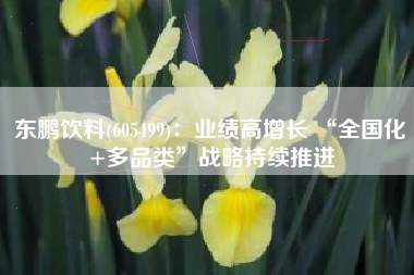 东鹏饮料(605499)：业绩高增长 “全国化+多品类”战略持续推进