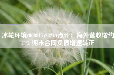 冰轮环境(000811)2024A点评：海外营收增约21% 期末合同负债增速转正