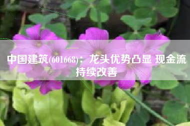 中国建筑(601668)：龙头优势凸显 现金流持续改善