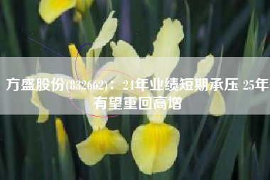 方盛股份(832662)：24年业绩短期承压 25年有望重回高增