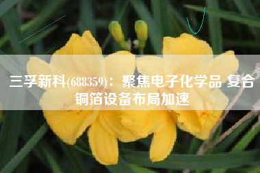 三孚新科(688359)：聚焦电子化学品 复合铜箔设备布局加速